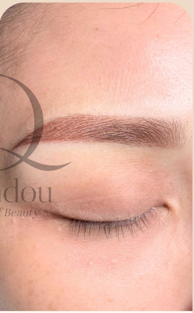 Brow Embroidery Styles Near Tanjong Katong: Hair-Stroke vs Powder Ombre